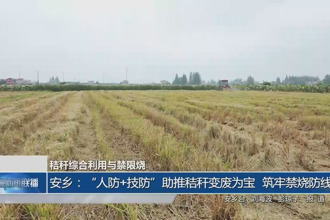 安乡：“人防+技防”助推秸秆变废为宝，筑牢禁烧防线