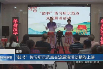 临澧：“鼓书”传习所示范点交流展演活动精彩上演