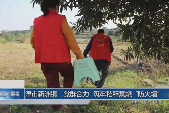 津市新洲镇：党群合力 筑牢秸秆禁烧“防火墙”