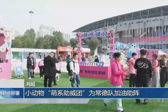 小动物“萌系助威团”为常德队加油助阵