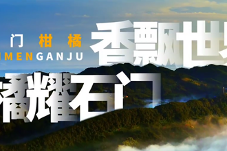 【石门柑橘】香飘世界 橘耀石门