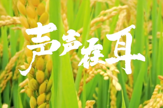 【鼎城】声声在耳