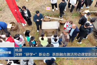 桃源：深耕“研学+”新业态 茶旅融合激活劳动课堂新活力
