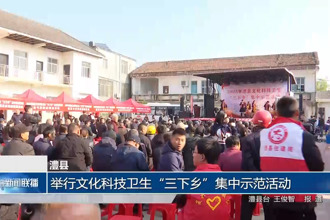 澧县：举行文化科技卫生“三下乡”集中示范活动