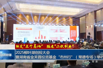 2025柳叶湖创投大会暨湖南省金芙蓉投资基金“市州行”（常德专场）举行