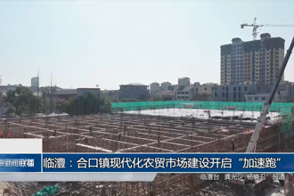 临澧：合口镇现代化农贸市场建设开启“加速跑”