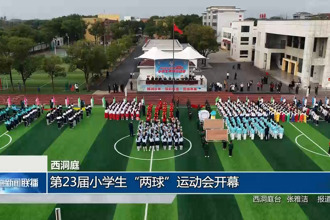 西洞庭：第23届小学生“两球”运动会开幕