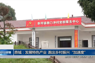 鼎城：发展特色产业 跑出乡村振兴“加速度”