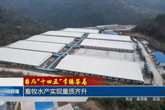 非凡“十四五”常德答卷 畜牧水产实现量质齐升