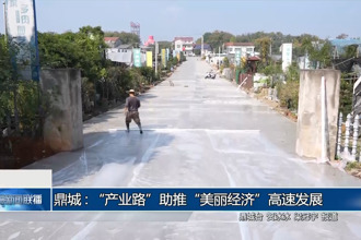 鼎城区石板滩镇：“产业路”助推“美丽经济”高速发展