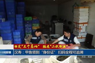 汉寿：甲鱼领到“身份证” 扫码全程可追溯
