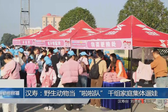 汉寿：野生动物当“啦啦队” 千组家庭集体遛娃