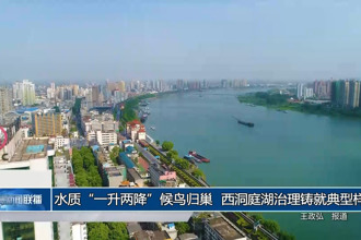 水质“一升两降”候鸟归巢 西洞庭湖治理铸就典型样本