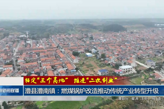 澧县澧南镇：燃煤锅炉改造推动传统产业转型升级