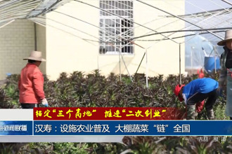 汉寿：设施农业普及 大棚蔬菜“链”全国