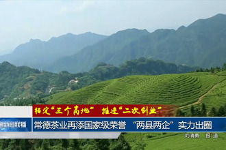 常德茶业再添国家级荣誉 “两县两企”实力出圈