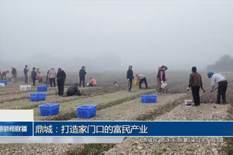 鼎城：打造家门口的富民产业