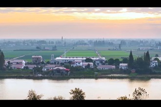 【安乡】《嘎嘎的菜蕻儿》