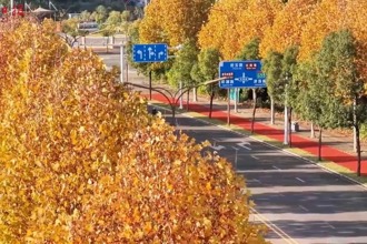 暖冬漫游柳叶湖