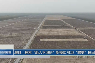 澧县：探索“退人不退耕”新模式 林地“蝶变”良田
