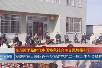 罗毅君在武陵区丹洲乡宣讲党的二十届四中全会精神