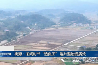 桃源：冬闲时节“造良田” 连片整治提质效