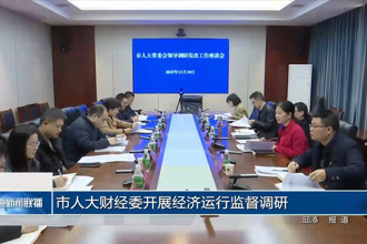 市人大财经委开展经济运行监督调研