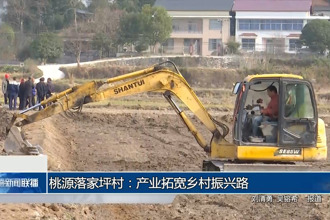 桃源落家坪村：产业拓宽乡村振兴路