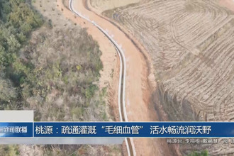 桃源：疏通灌溉“毛细血管” 活水畅流润沃野