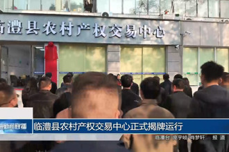临澧县农村产权交易中心正式揭牌运行