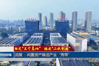 武陵 ：闲置资产焕活产业“秀带”