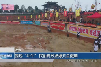 汉寿：围观“斗牛” 民俗竞技燃爆元旦假期
