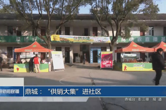 鼎城：“供销大集”进社区
