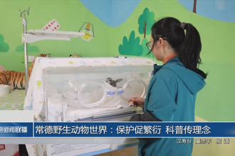常德野生动物世界：保护促繁衍 科普传理念