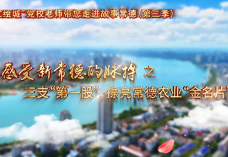 【以文绘城】三支“第一股” 擦亮常德农业“金名片”