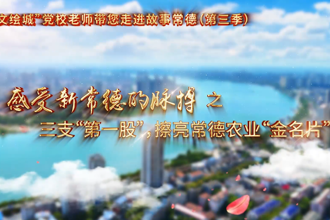 【以文绘城】三支“第一股” 擦亮常德农业“金名片”