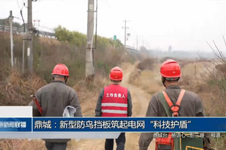 鼎城：新型防鸟挡板筑起电网“科技护盾”