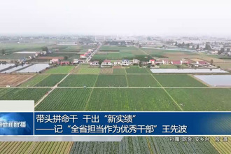 带头拼命干 干出“新实绩”——记“全省担当作为优秀干部”王先波