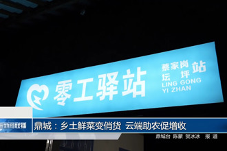 鼎城：乡土鲜菜变俏货 云端助农促增收