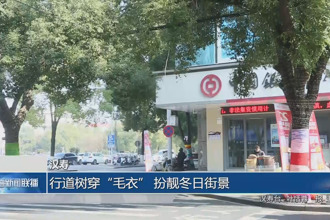 汉寿：行道树穿“毛衣” 扮靓冬日街景