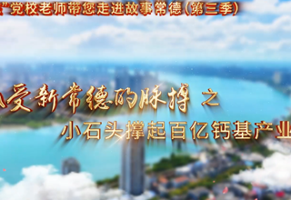 【以文绘城】小石头撑起百亿钙基产业梦
