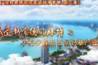 【以文绘城】小石头撑起百亿钙基产业梦