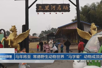 马年将至 常德野生动物世界“马字辈”动物成顶流