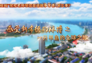 【以文绘城】一只甲鱼的全球之旅