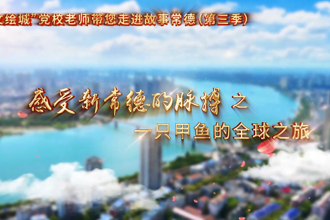 【以文绘城】一只甲鱼的全球之旅