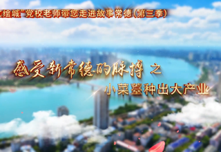 【以文绘城】小菜薹种出大产业