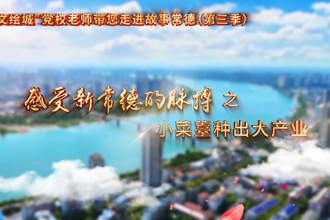 【以文绘城】小菜薹种出大产业