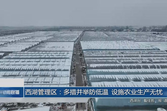西湖管理区：多措并举防低温 设施农业生产无忧