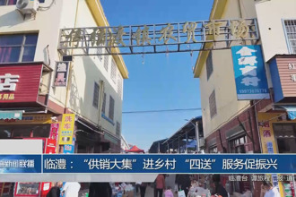 临澧：“供销大集”进乡村 “四送”服务促振兴