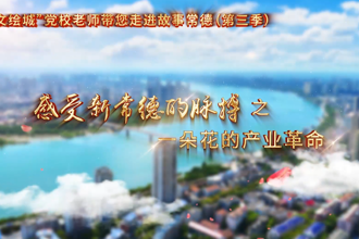 【以文绘城】一朵花的产业革命